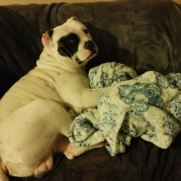 Bern's MAKE A BUNDLE OFFER 🌞 DEAL DAYS - Picture 7 of 9